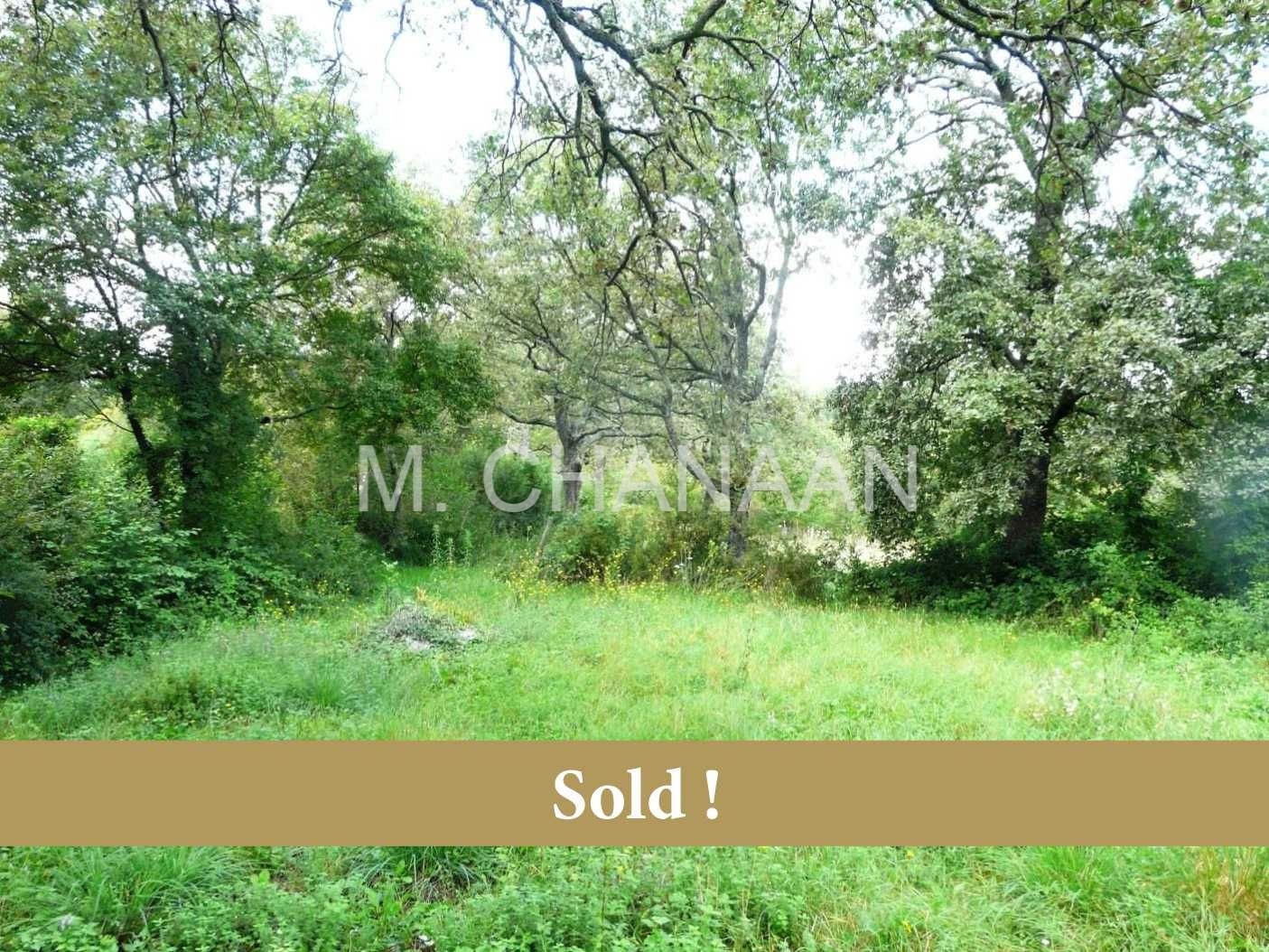 Građevinsko-stambeno, Prodaja, Sveti Lovreč, Radići