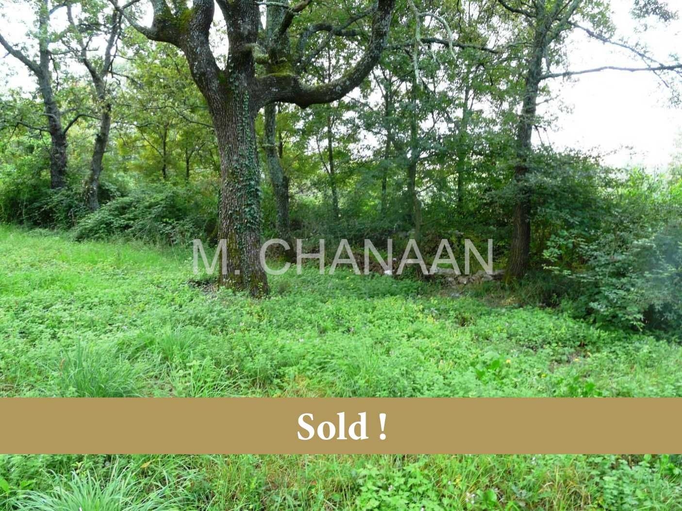 Građevinsko-stambeno, Prodaja, Sveti Lovreč, Radići