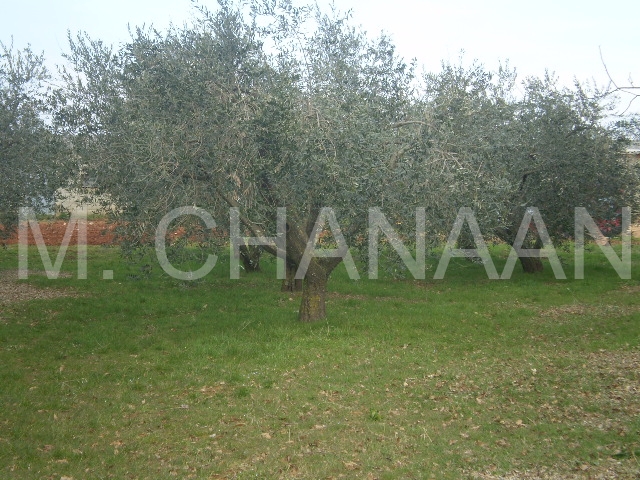 Građevinsko zemljište Rogovići