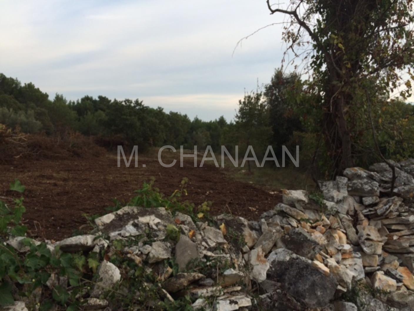 Poljoprivredno zemljište, Vabriga