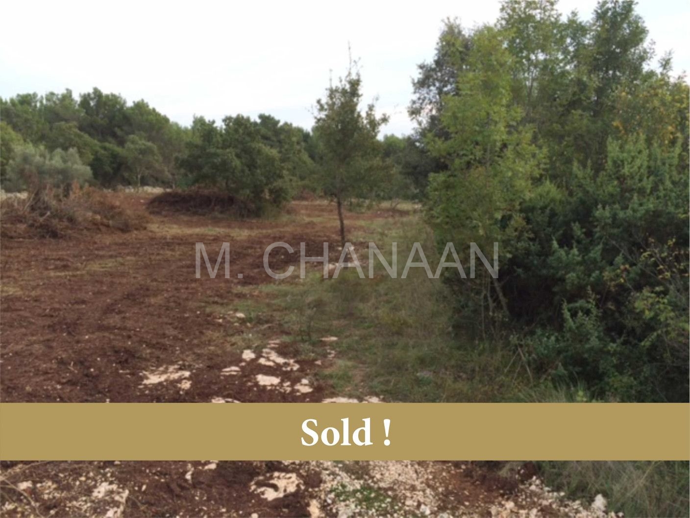 Poljoprivredno, Prodaja, Tar-Vabriga, Vabriga