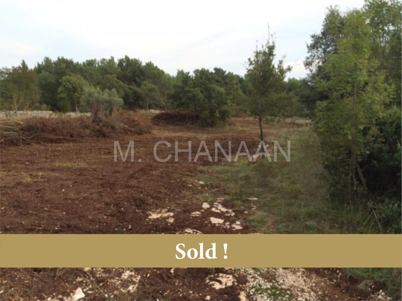 Poljoprivredno, Prodaja, Tar-Vabriga, Vabriga