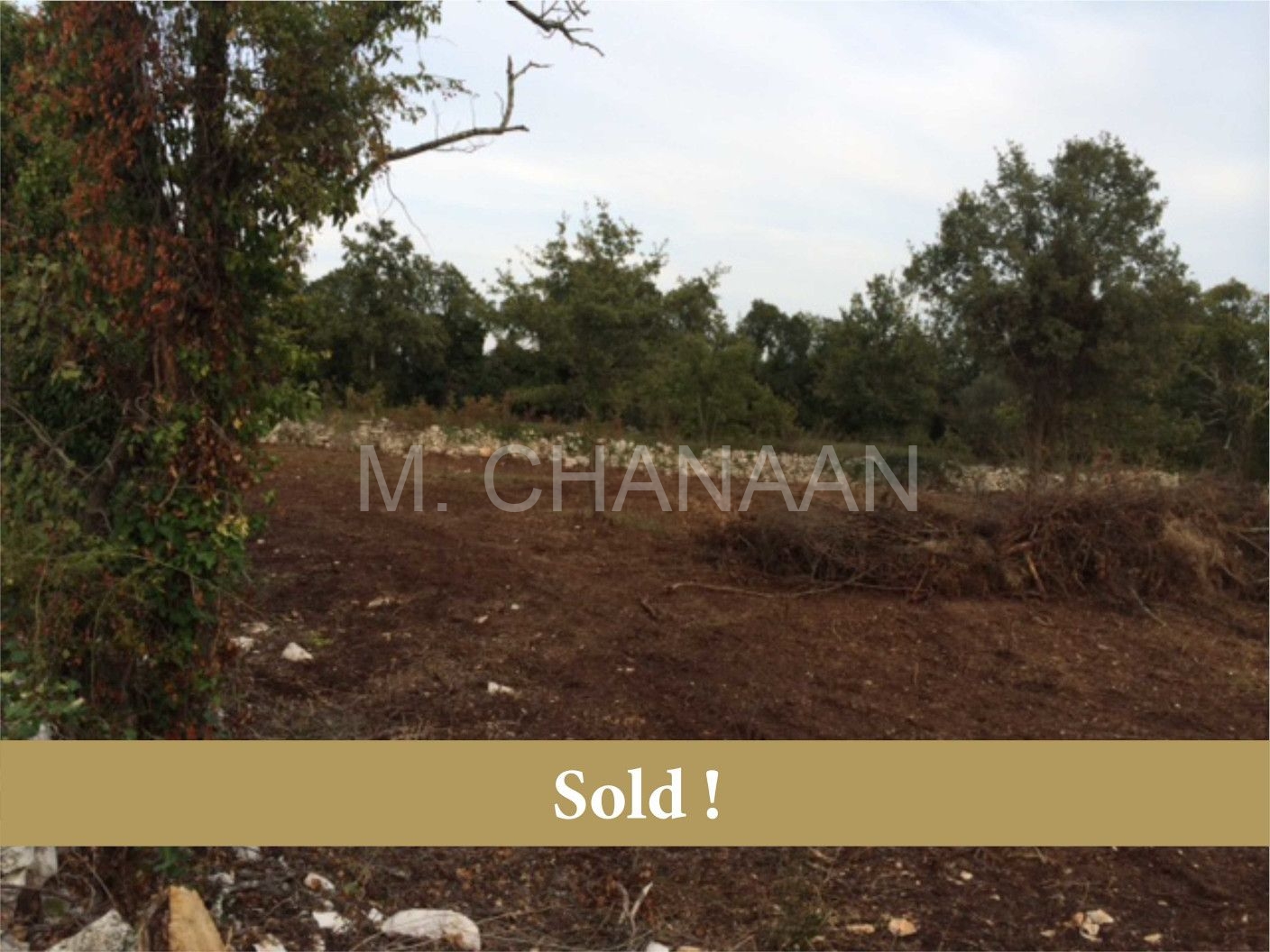 Poljoprivredno, Prodaja, Tar-Vabriga, Vabriga