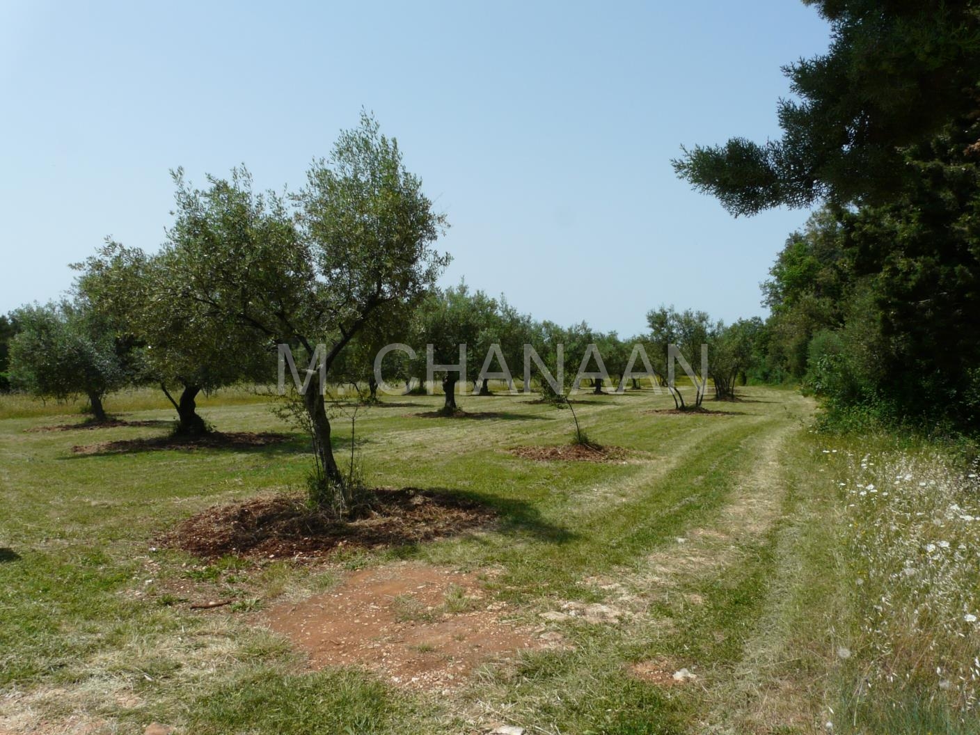 Građevinsko zemljište Vabriga