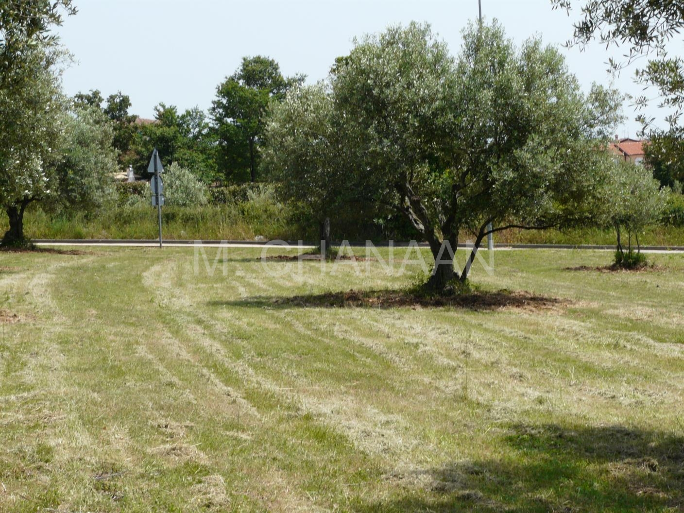 Građevinsko zemljište Vabriga