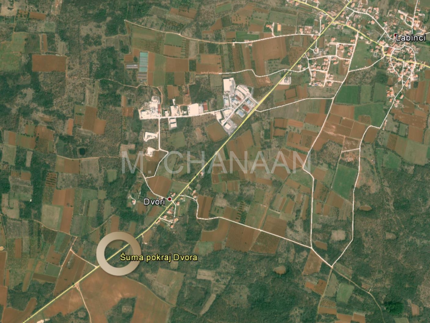 Položaj šume pokraj Dvora