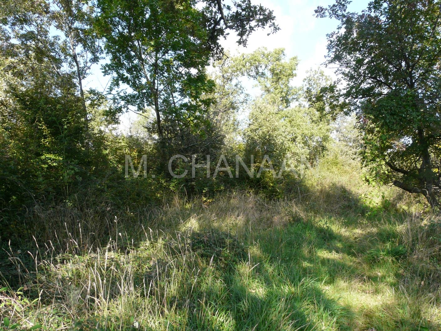 Zemljište, Prodaja, Višnjan