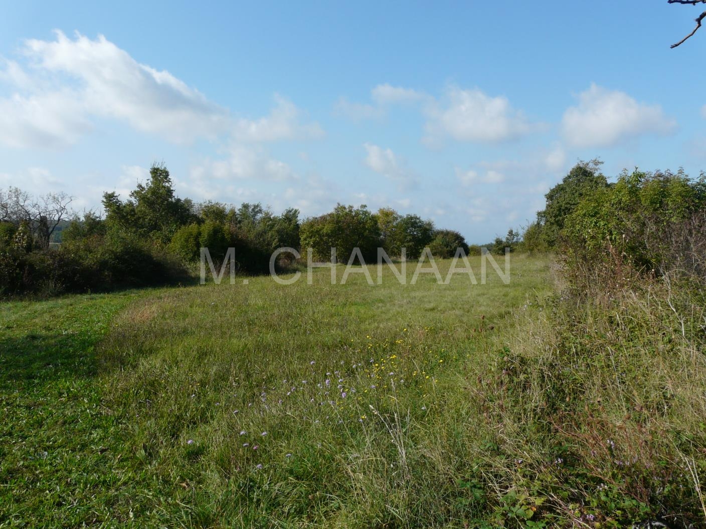 Zemljište, Prodaja, Višnjan