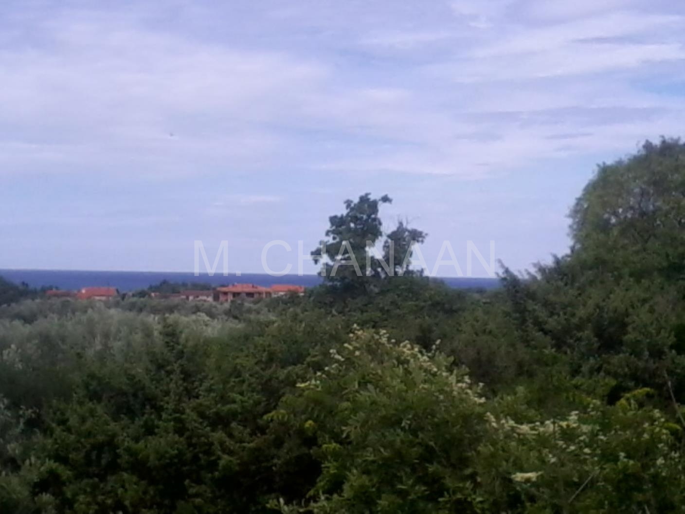 Pogled na more sa zemljišta