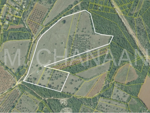 Ortofoto užeg područja