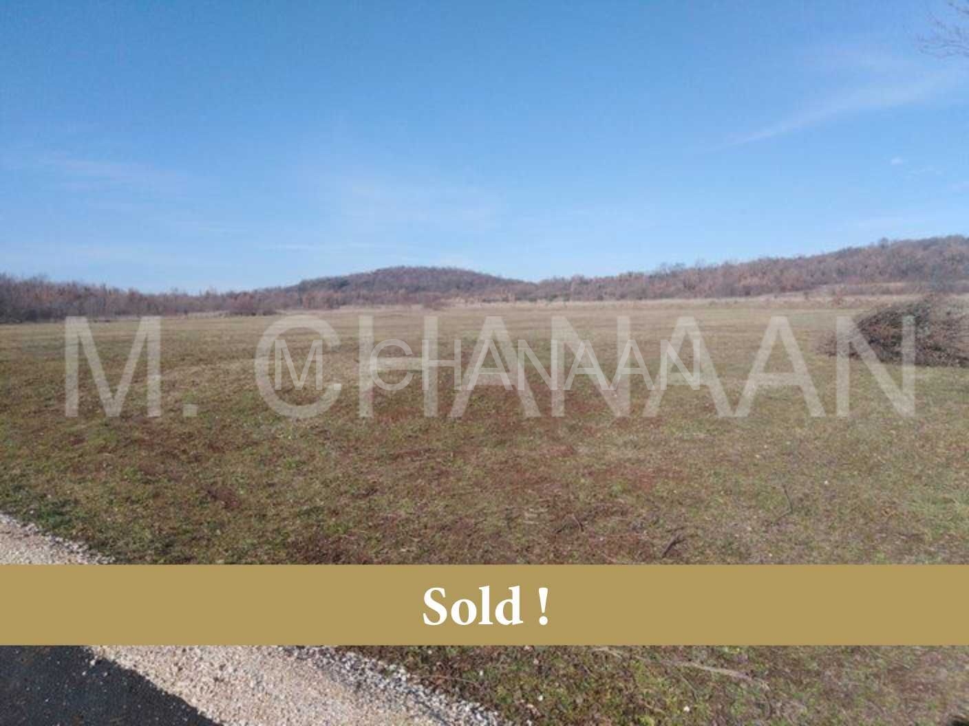 Poljoprivredno zemljište, Prodaja, Poreč, Mušalež