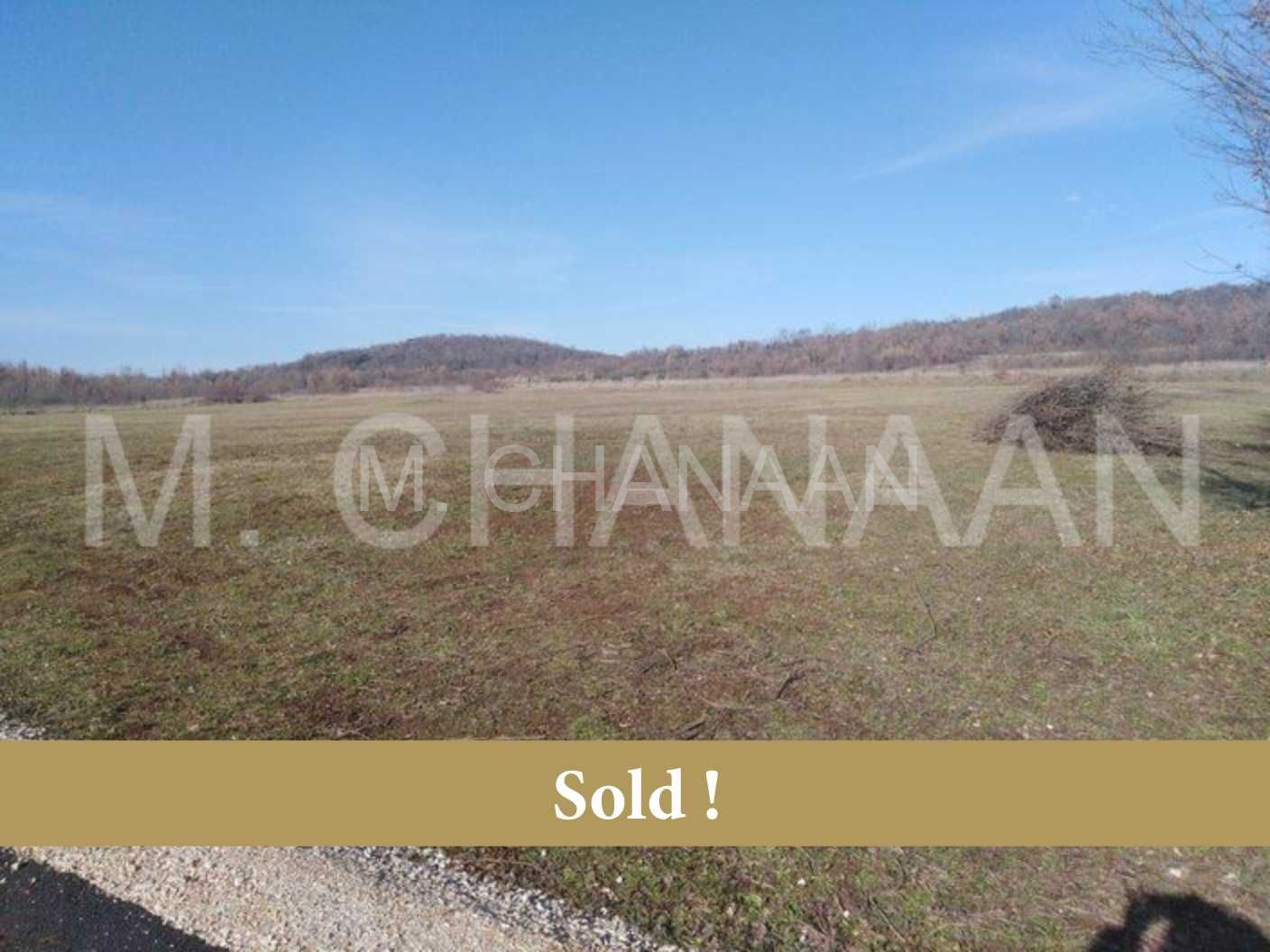 Poljoprivredno zemljište, Prodaja, Poreč, Mušalež