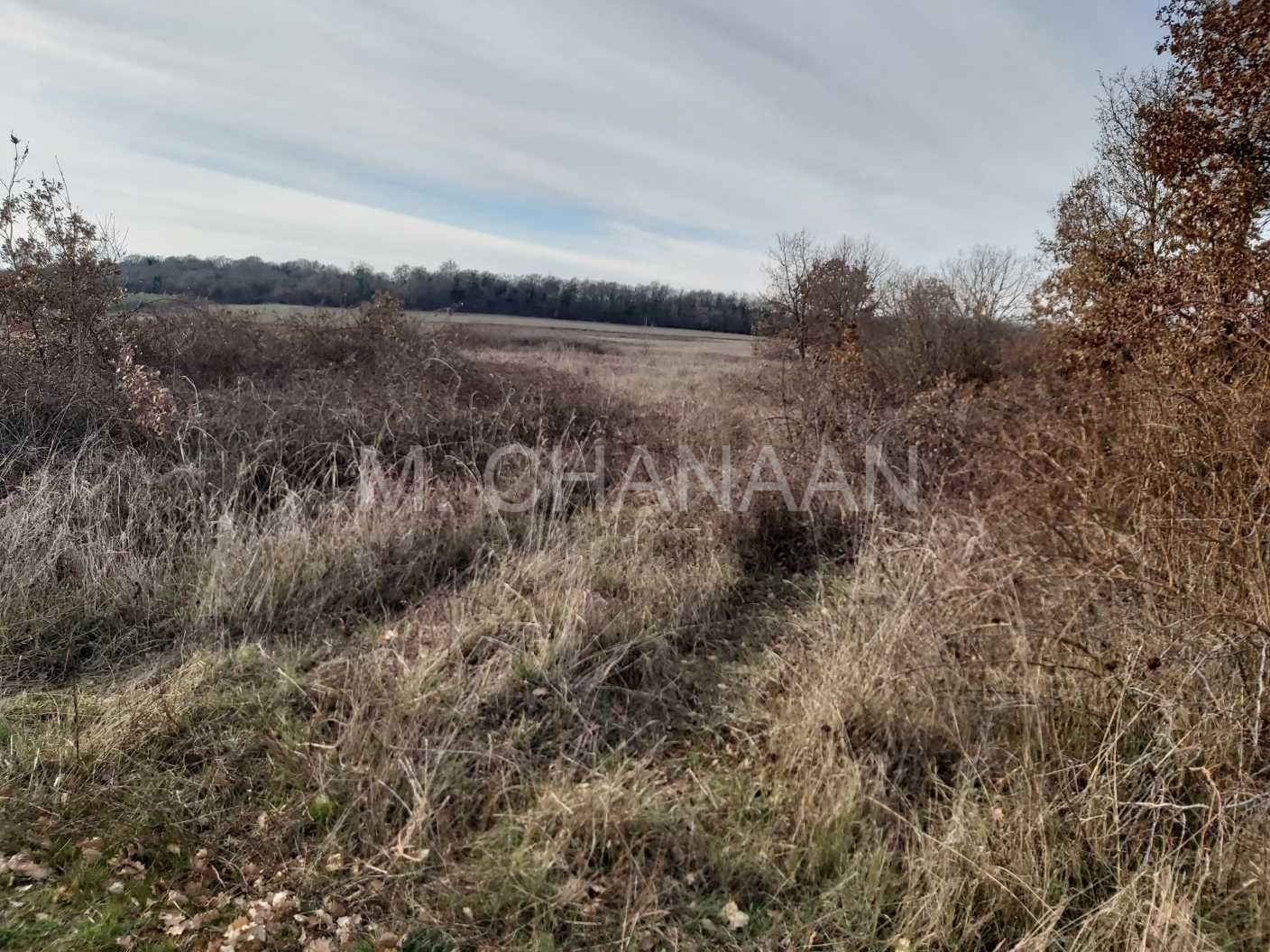 Poljoprivredno zemljište, Prodaja, Poreč, Dračevac