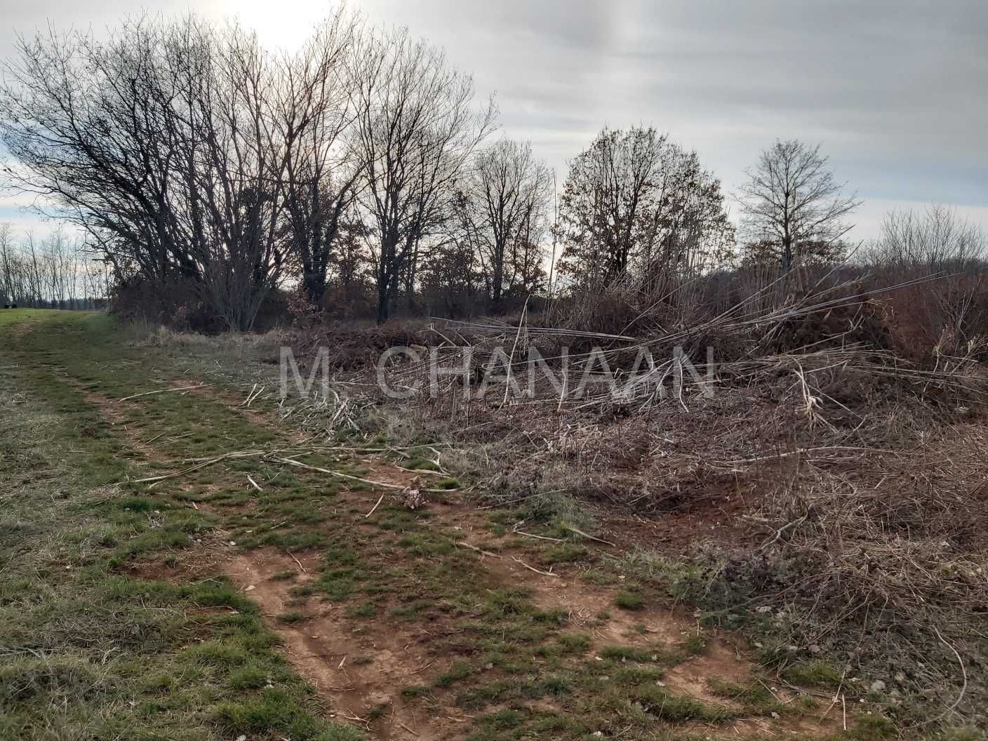 Poljoprivredno zemljište, Prodaja, Poreč, Dračevac