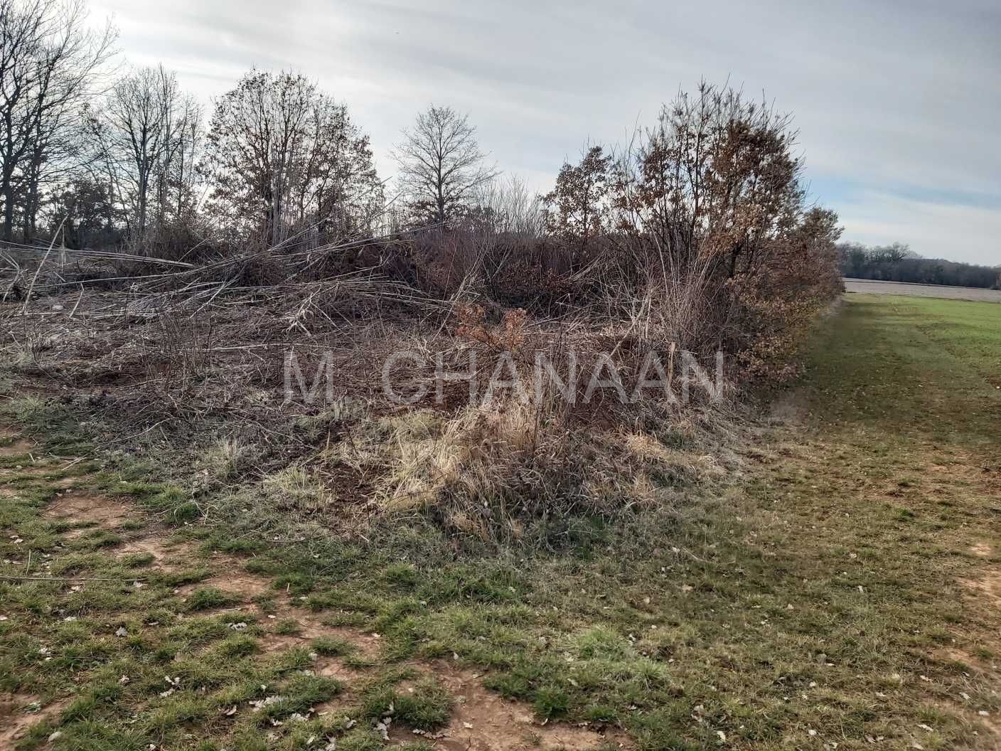 Poljoprivredno zemljište, Prodaja, Poreč, Dračevac