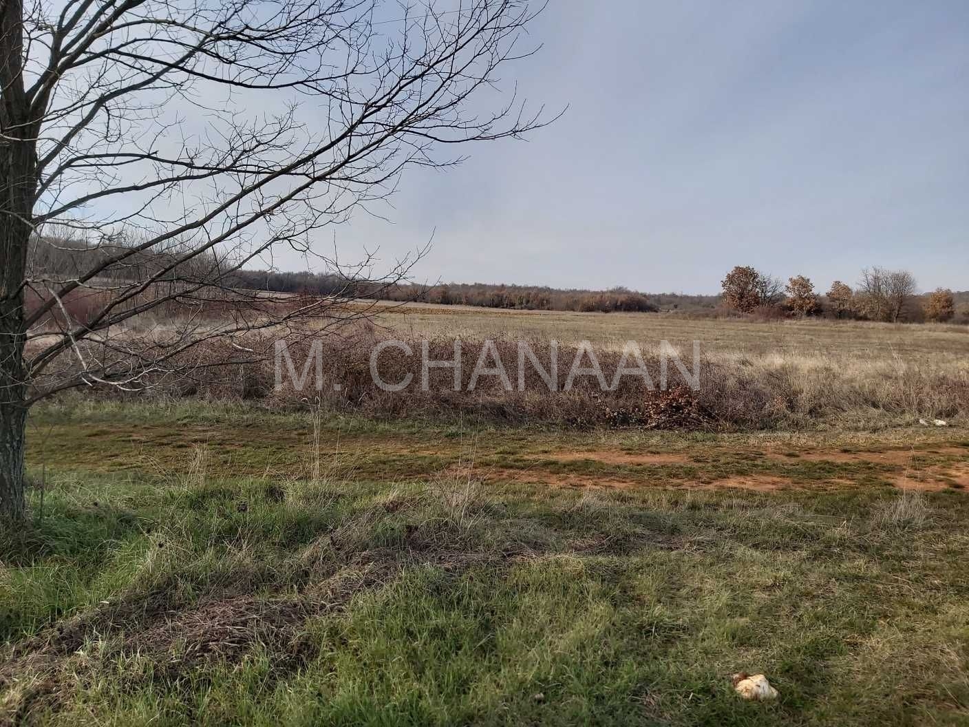 Poljoprivredno zemljište, Prodaja, Poreč, Dračevac