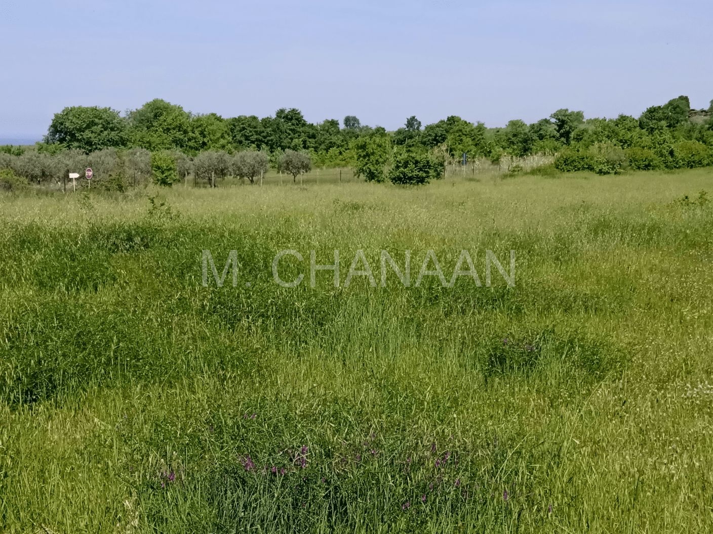 Građevinsko-turističko, Prodaja, Poreč, Črvar