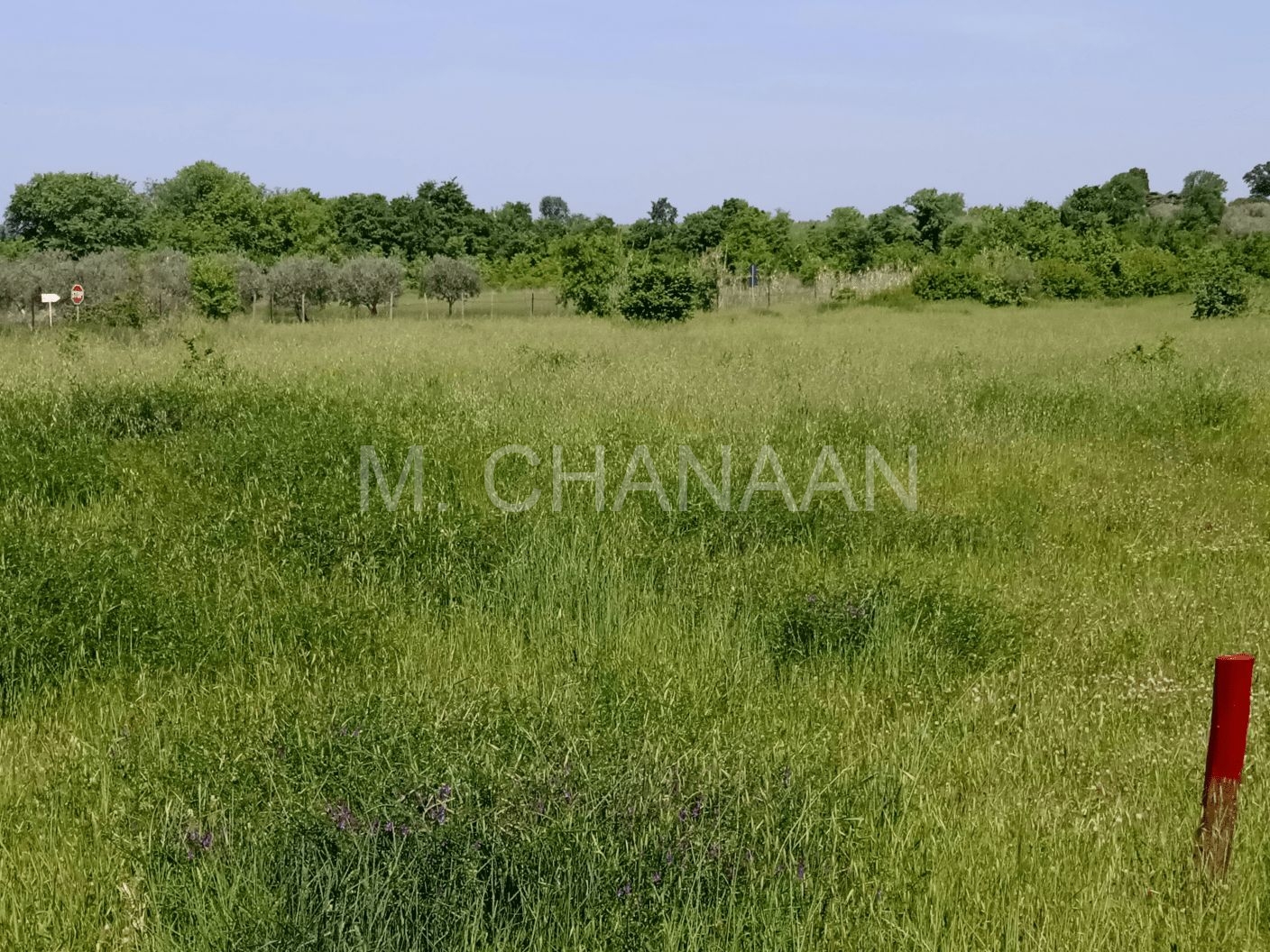 Građevinsko-turističko, Prodaja, Poreč, Črvar