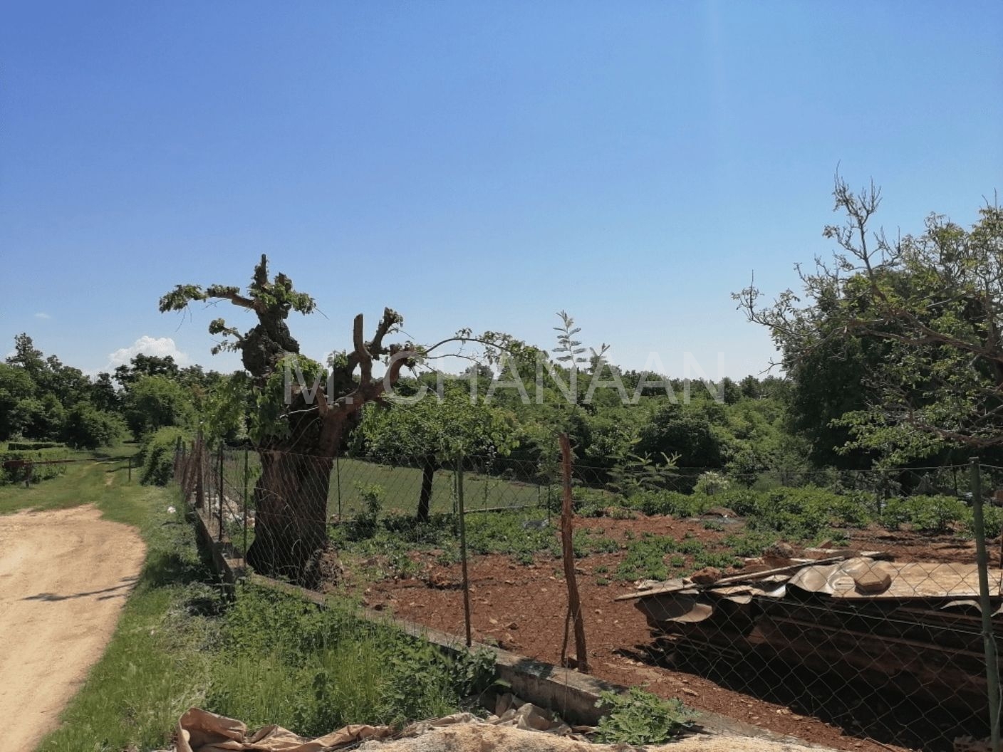 Građevinsko, Prodaja, Poreč, Nova Vas