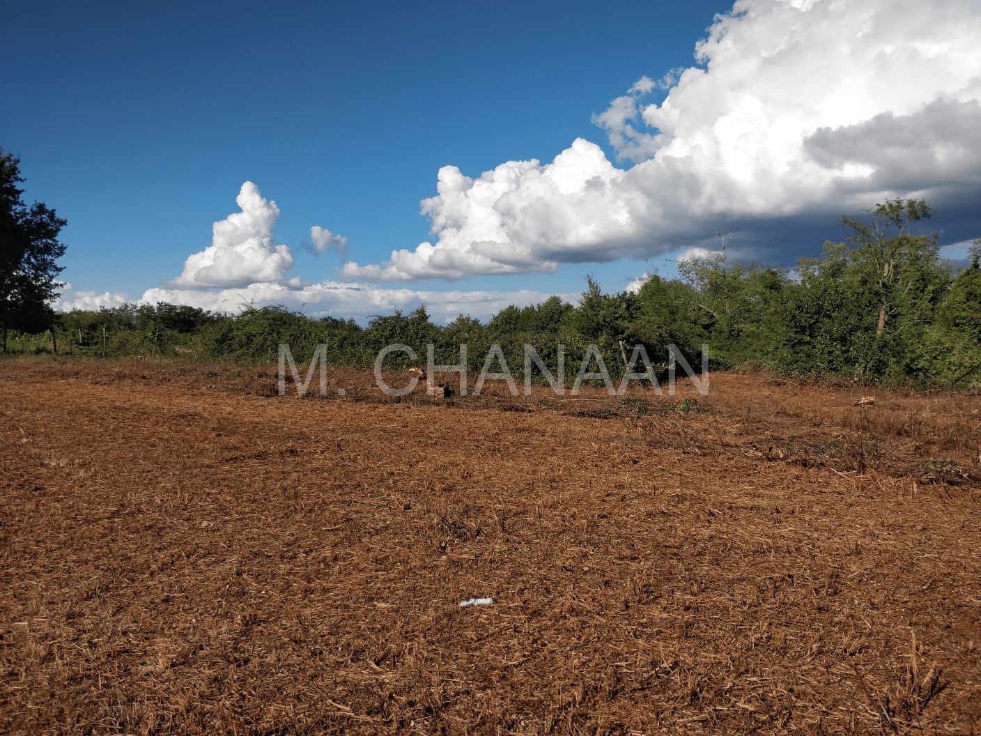 Građevinsko zemljište, Prodaja, Kaštelir-Labinci, Tadini