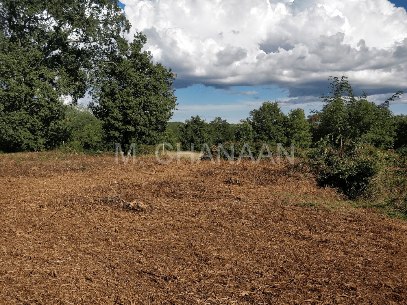 Građevinsko zemljište, Prodaja, Kaštelir-Labinci, Tadini