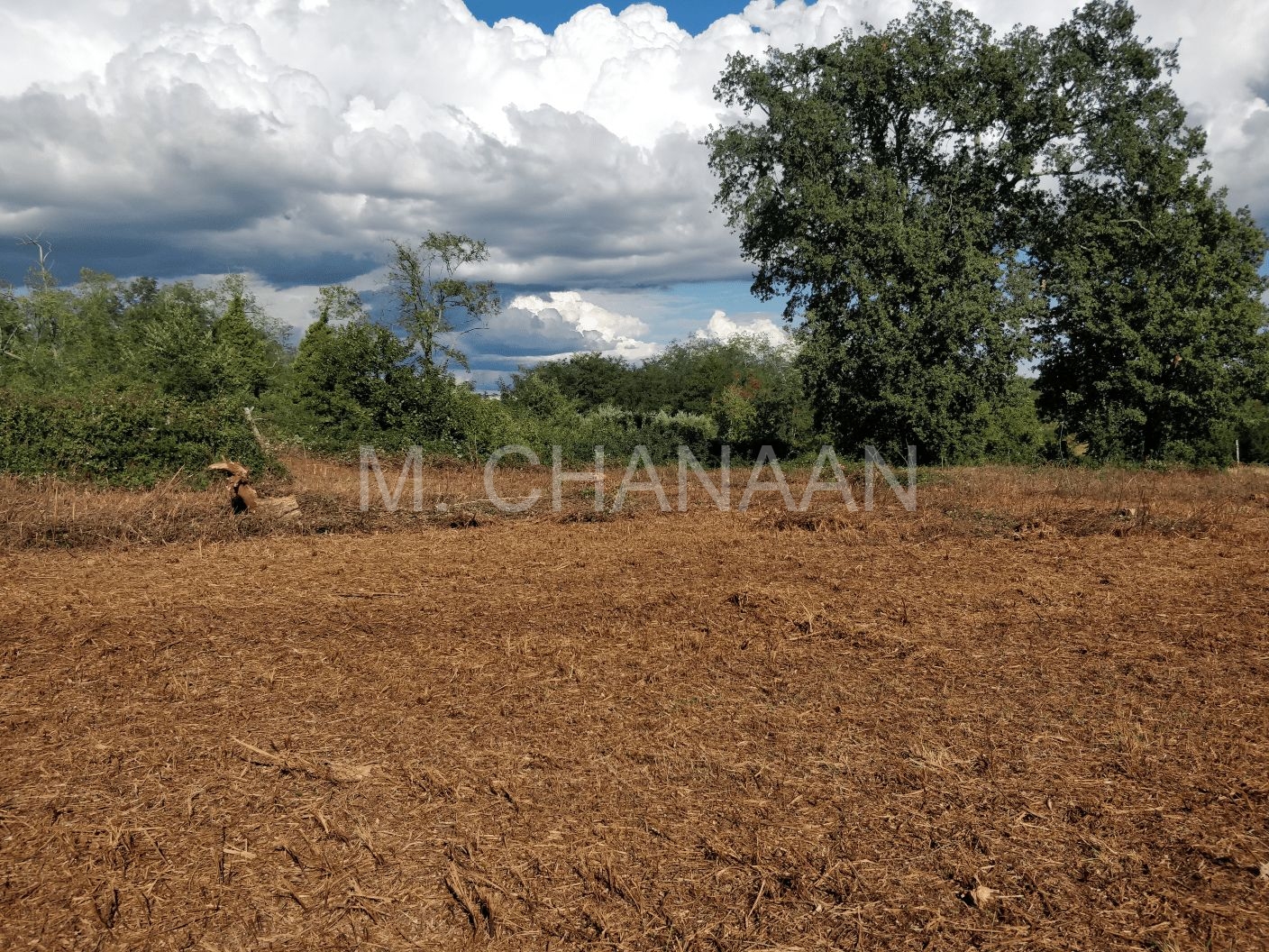 Građevinsko zemljište, Prodaja, Kaštelir-Labinci, Tadini