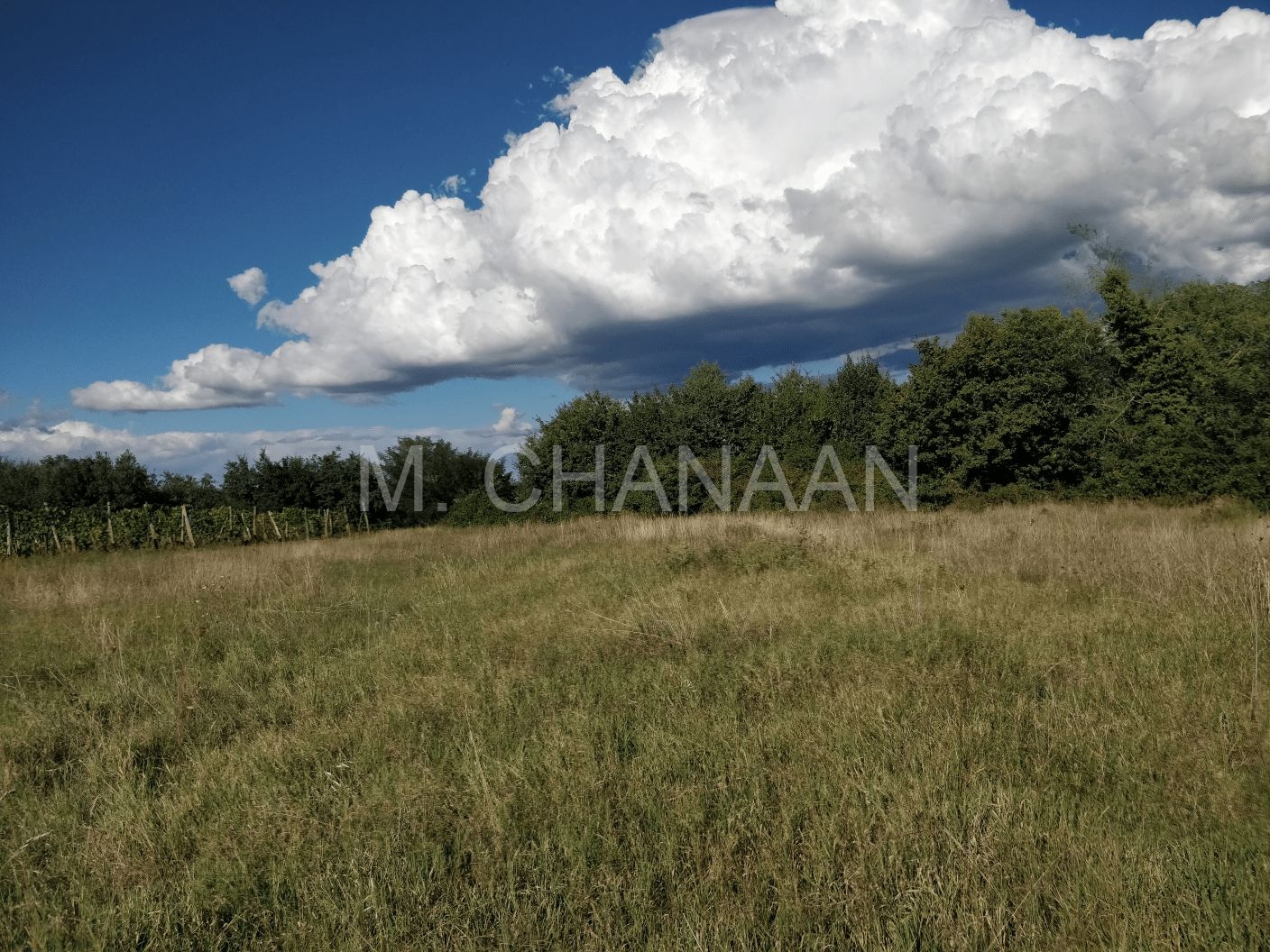 Građevinsko zemljište, Prodaja, Kaštelir-Labinci, Tadini