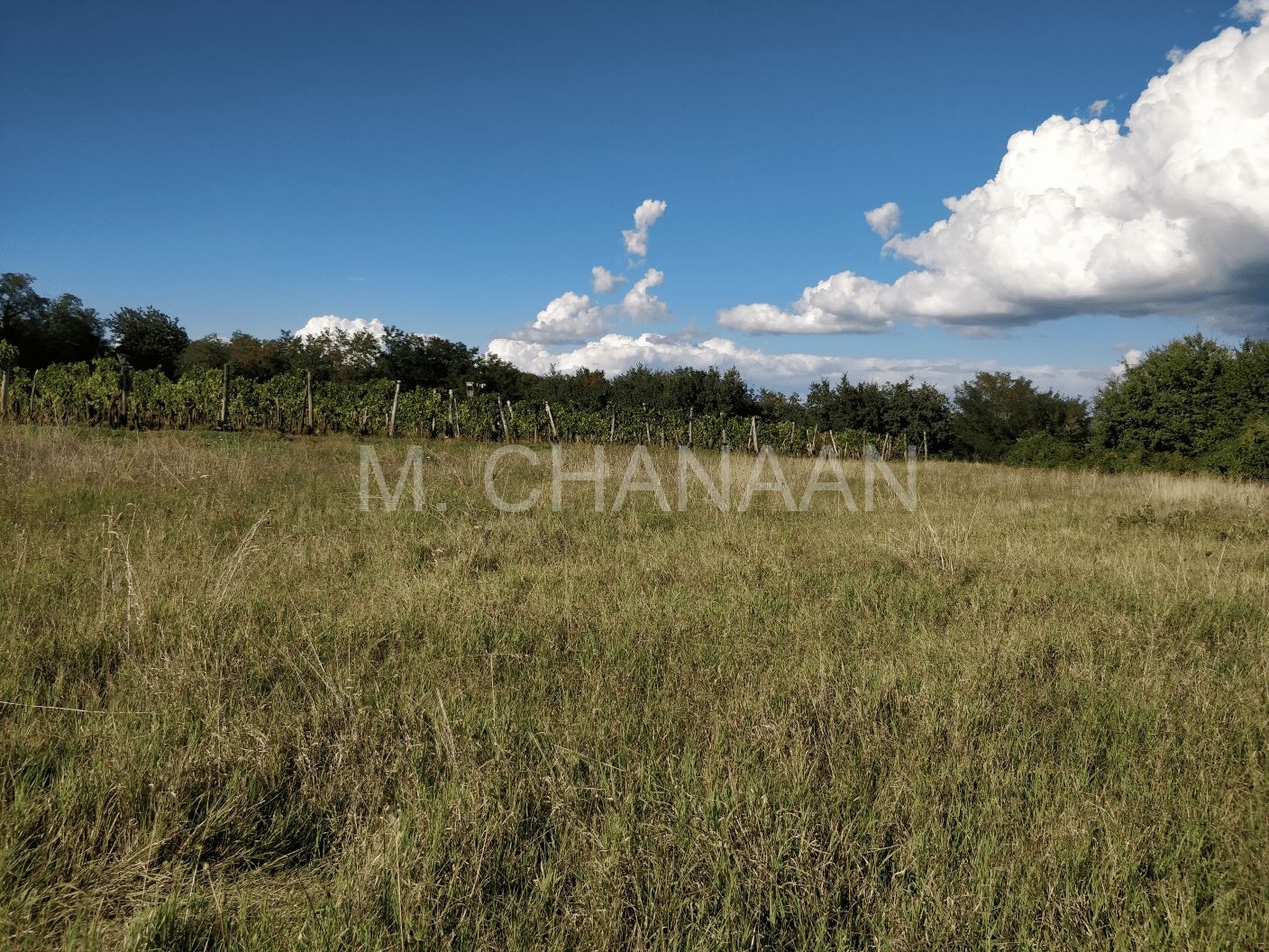 Građevinsko zemljište, Prodaja, Kaštelir-Labinci, Tadini