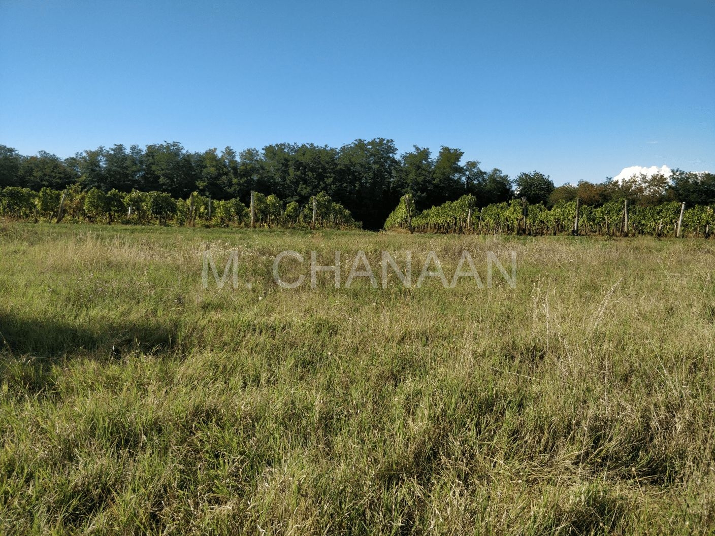 Građevinsko zemljište, Prodaja, Kaštelir-Labinci, Tadini