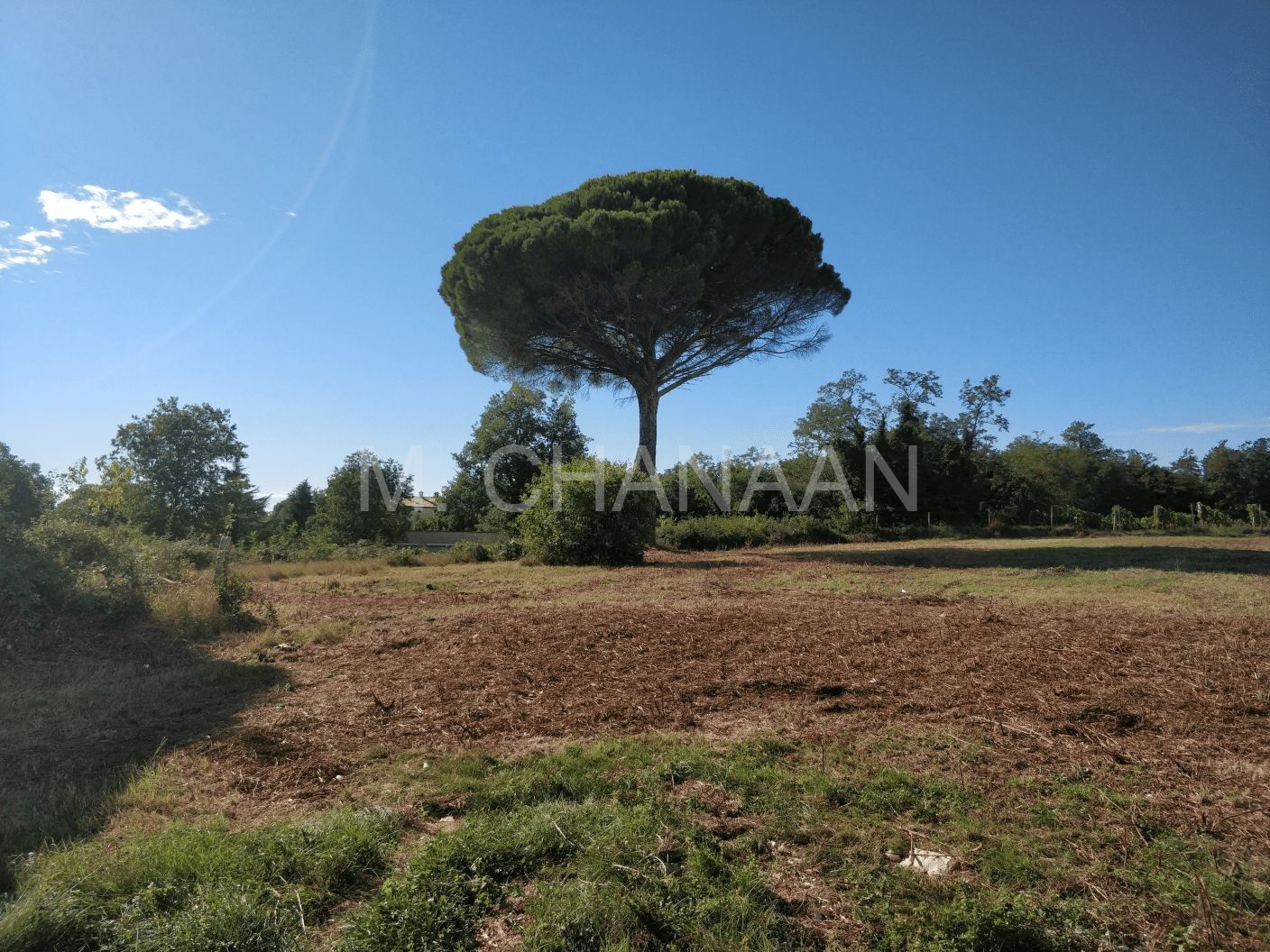 Građevinsko zemljište, Prodaja, Kaštelir-Labinci, Tadini