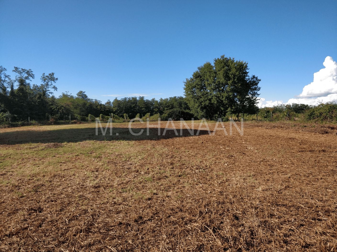 Građevinsko zemljište, Prodaja, Kaštelir-Labinci, Tadini