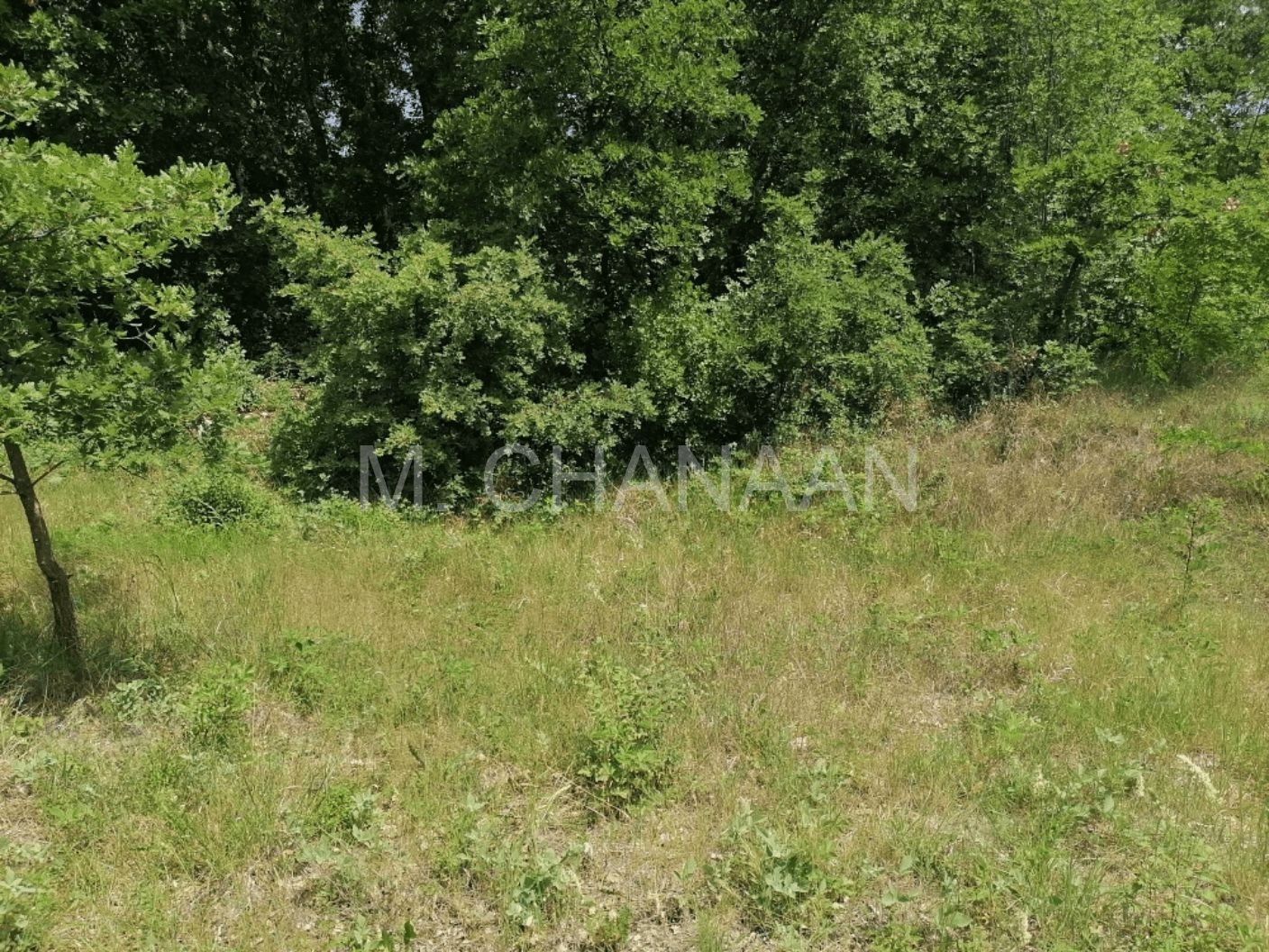 Građevinsko zemljište, Prodaja, Karojba, Škropeti