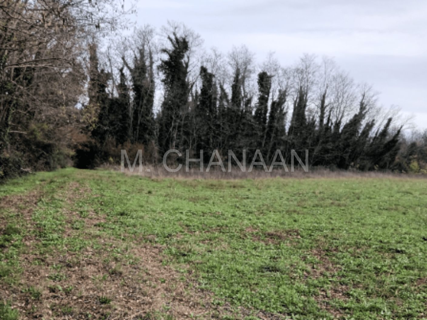 Građevinsko zemljište, Prodaja, Umag, Lovrečica