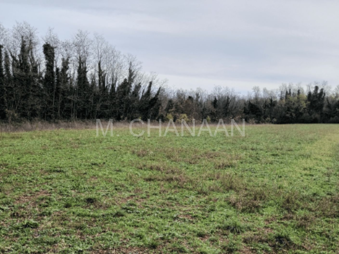 Građevinsko zemljište, Prodaja, Umag, Lovrečica