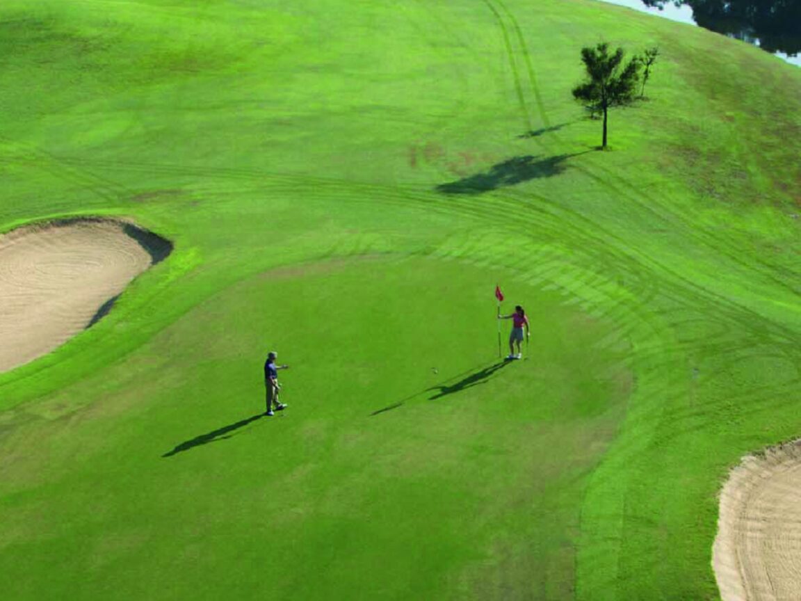 Development Project Golf Špin